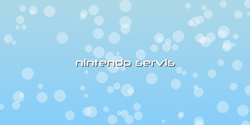 Nintendo Servis