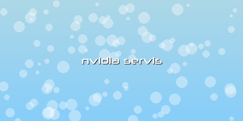 Nvidia Servis