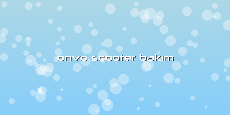 Onvo Scooter Bakım