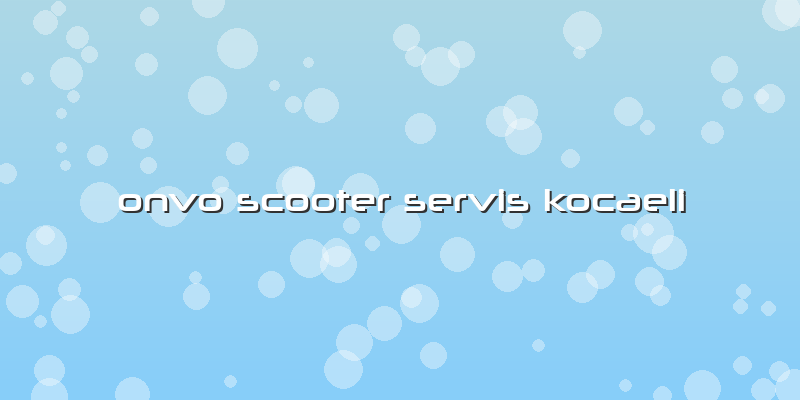 Onvo Scooter Servis Kocaeli