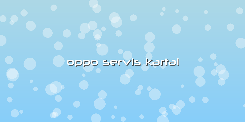 Oppo Servis Kartal