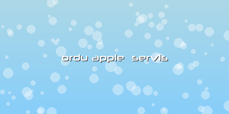 Ordu Apple Servis