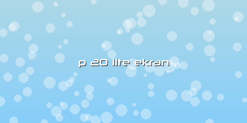 P 20 Lite Ekran