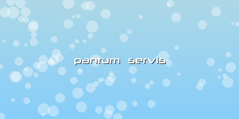 Pantum  Servis