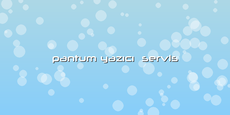 Pantum Yazıcı  Servis