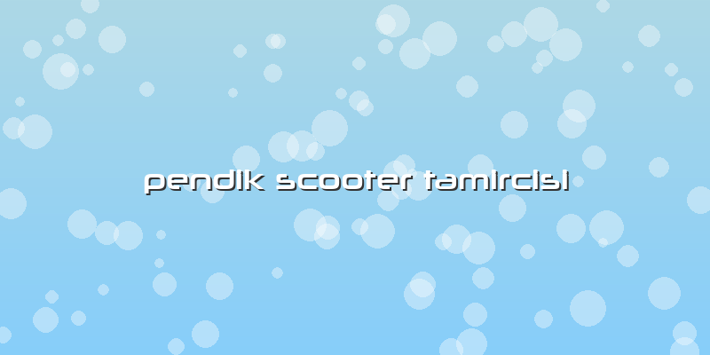 Pendik Scooter Tamircisi