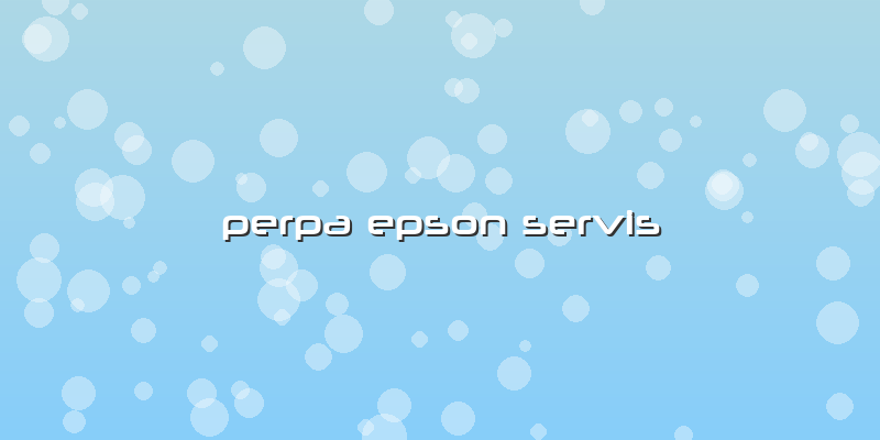 Perpa Epson Servis
