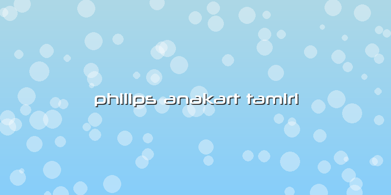 Philips Anakart Tamiri