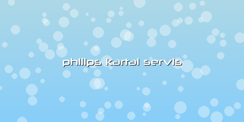 Philips Kartal Servis