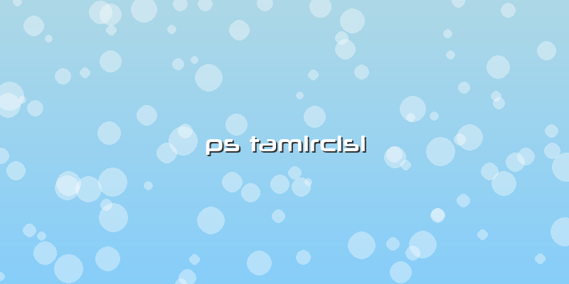 Ps Tamircisi