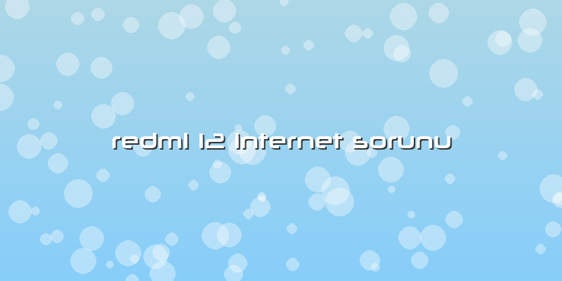 Redmi 12 Internet Sorunu