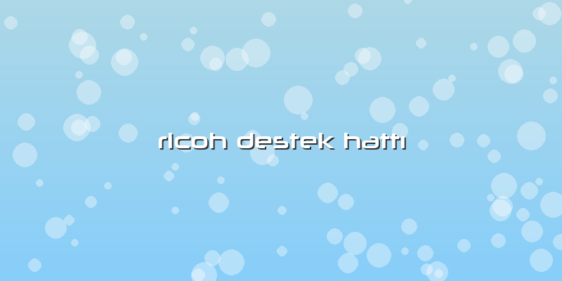 Ricoh Destek Hattı