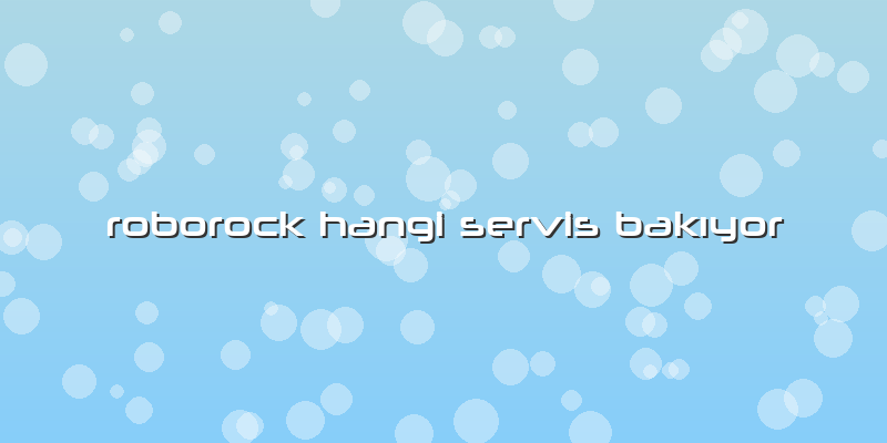 Roborock HAngi özel Servis BAkıyor