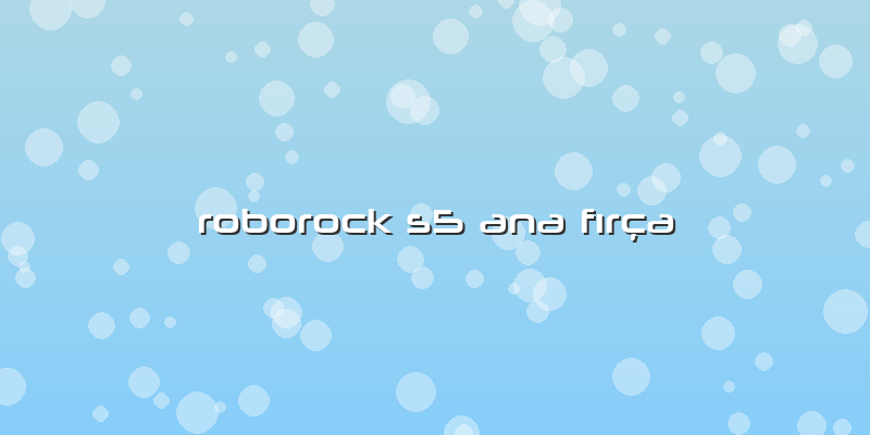 Roborock S5 Ana Fırça