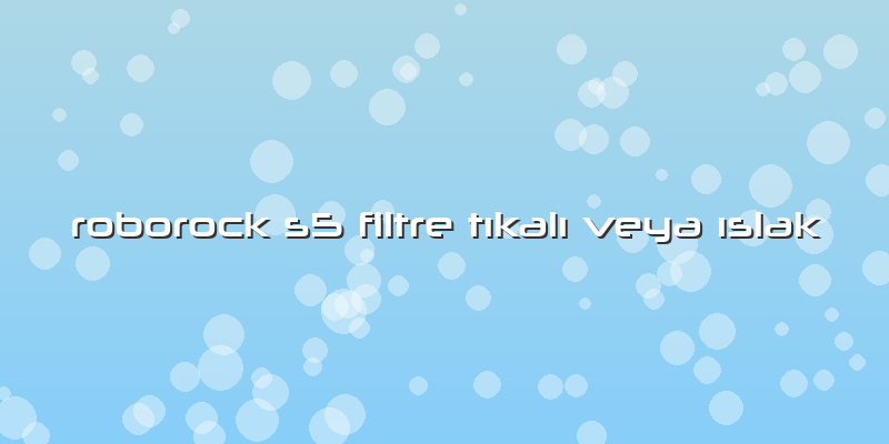Roborock S5 Filtre Tıkalı Veya ıslak