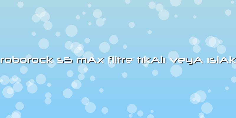 Roborock S5 Max Filtre Tıkalı Veya ıslak