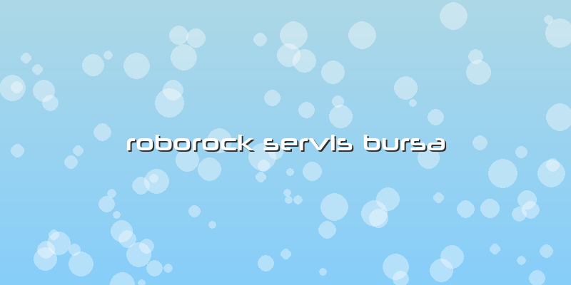 Roborock  Özel Servis Bursa