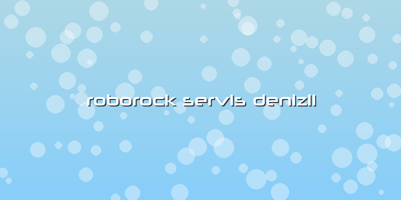 Roborock Özel Servis Denizli