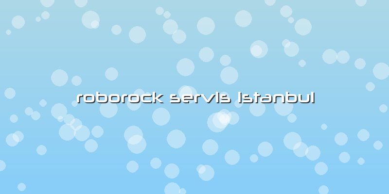 Roborock Özel Servis Istanbul