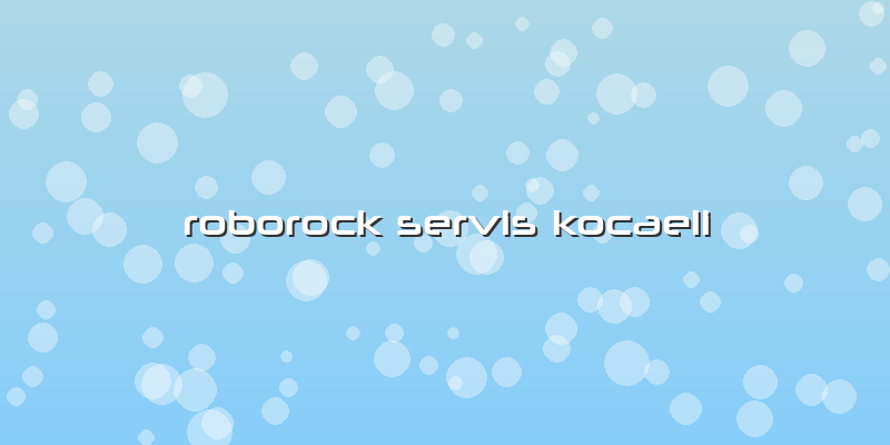 Roborock Özel Servis Kocaeli