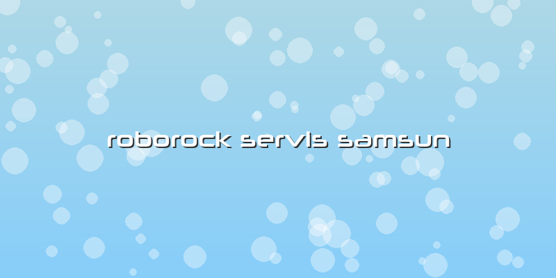 Roborock Özel Servis Samsun