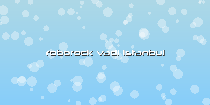 Roborock Vadi Istanbul