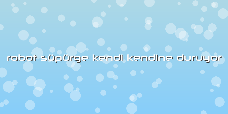 Robot Süpürge Kendi Kendine Duruyor