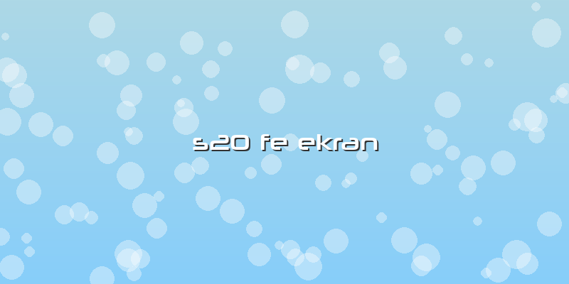 S20 Fe Ekran