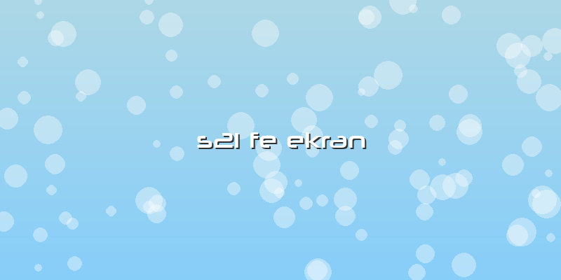 S21 Fe Ekran