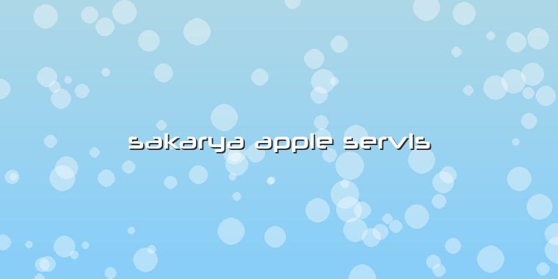 Sakarya Apple Servis