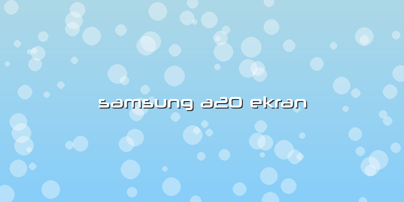 Samsung A20 Ekran