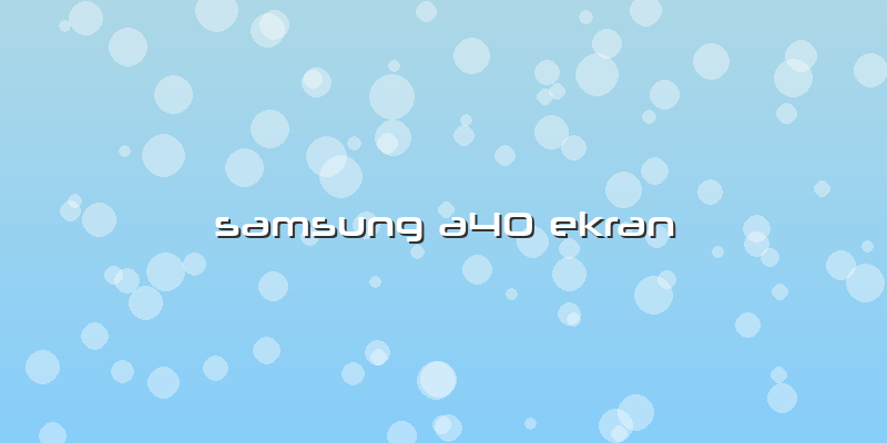 Samsung A40 Ekran