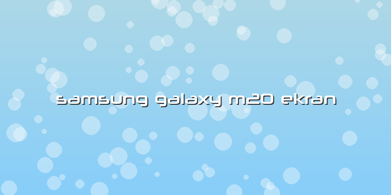 Samsung Galaxy M20 Ekran