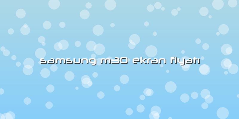Samsung M30 Ekran Fiyatı