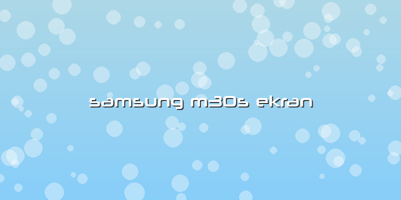 Samsung M30s Ekran