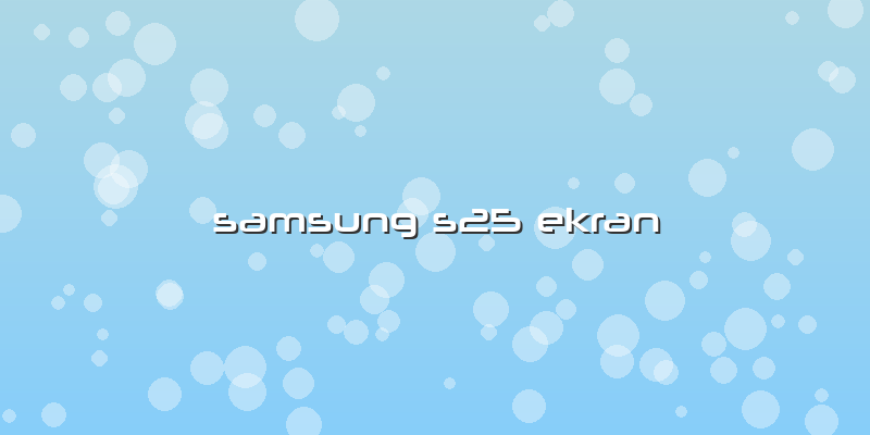 Samsung S25 Ekran