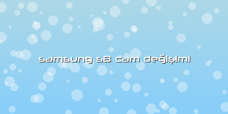 Samsung S8 Cam Değişimi