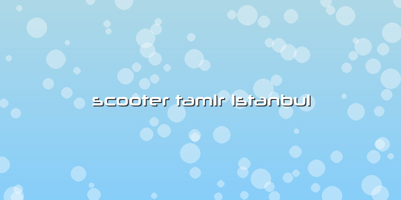 Scooter Tamir Istanbul