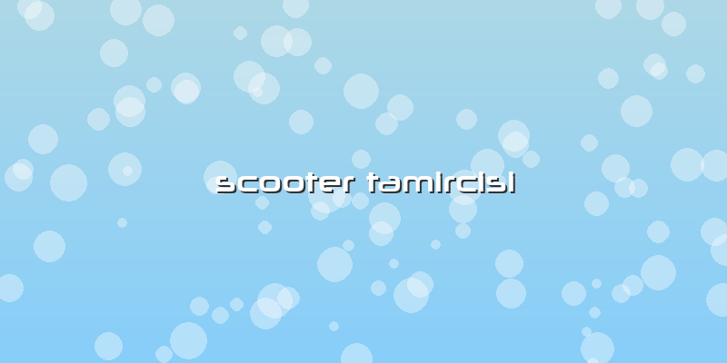 Scooter Tamircisi