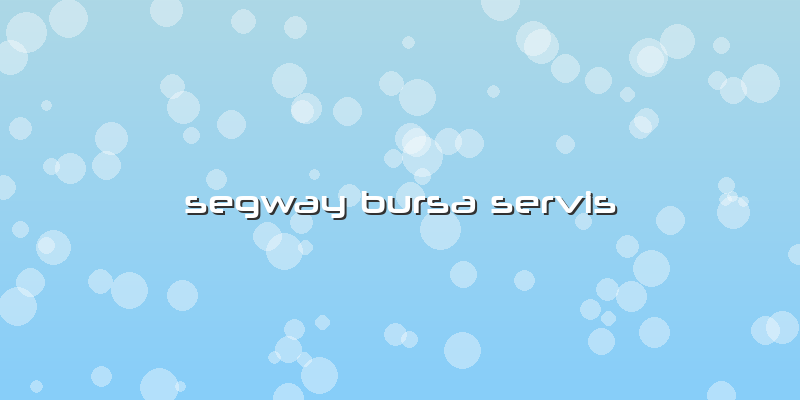 Segway Bursa Servis