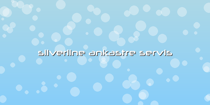 Silverline Ankastre Servis