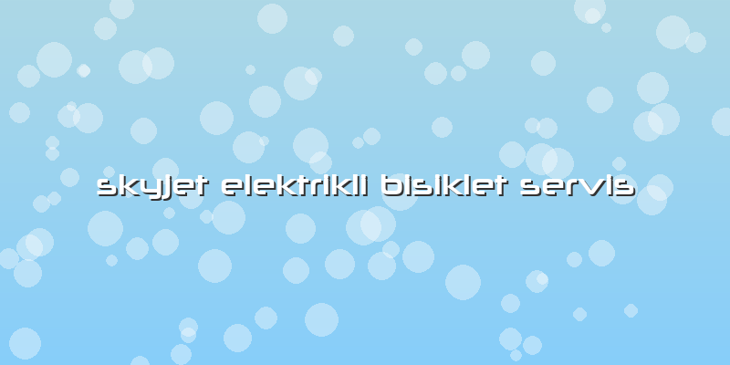 Skyjet Elektrikli Bisiklet Servis