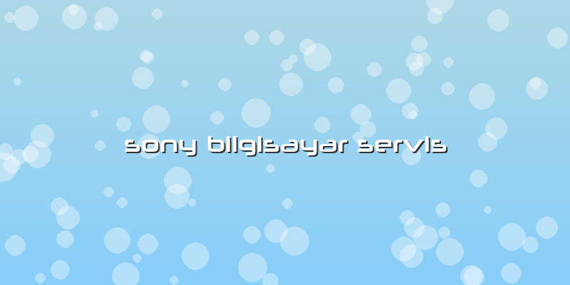 Sony Bilgisayar Servis