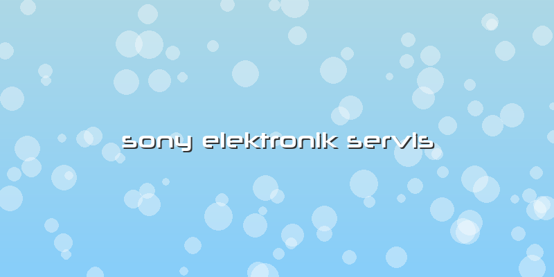 Sony Elektronik Servis