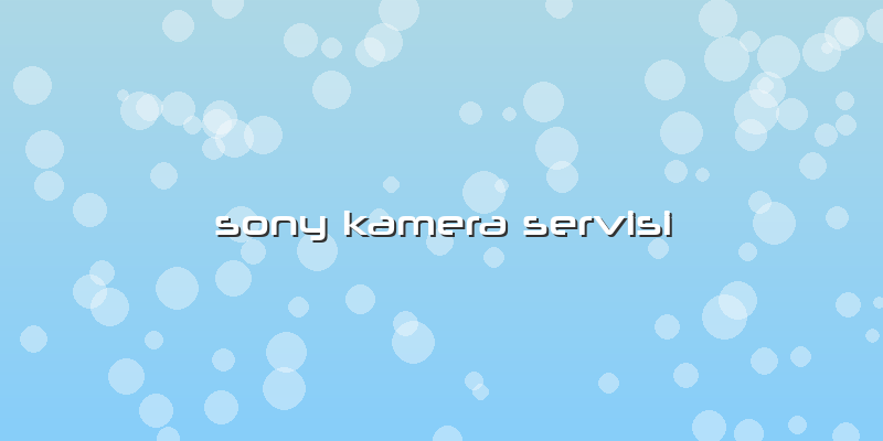 Sony Kamera Servisi