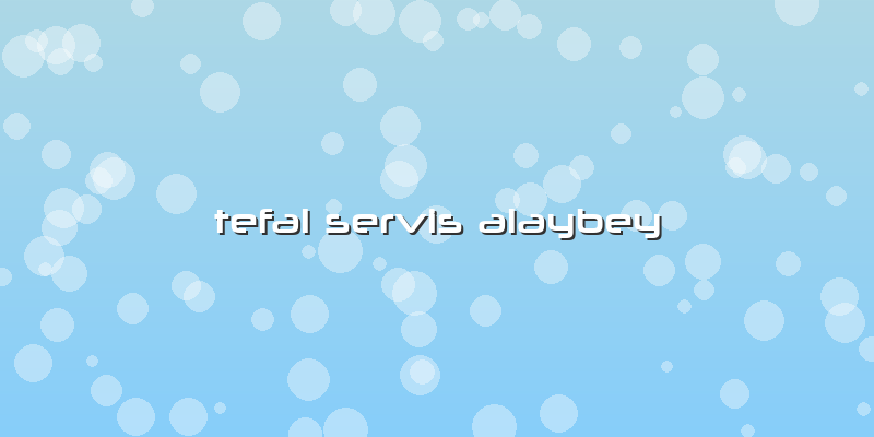 Tefal Servis Alaybey