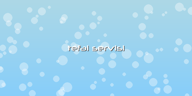 Tefal Servisi