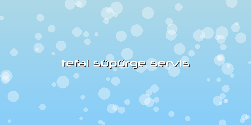 Tefal Süpürge Servis