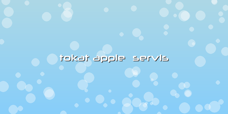 Tokat Apple Servis