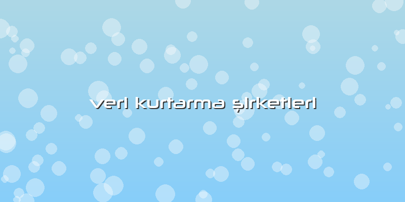 Veri Kurtarma şirketleri